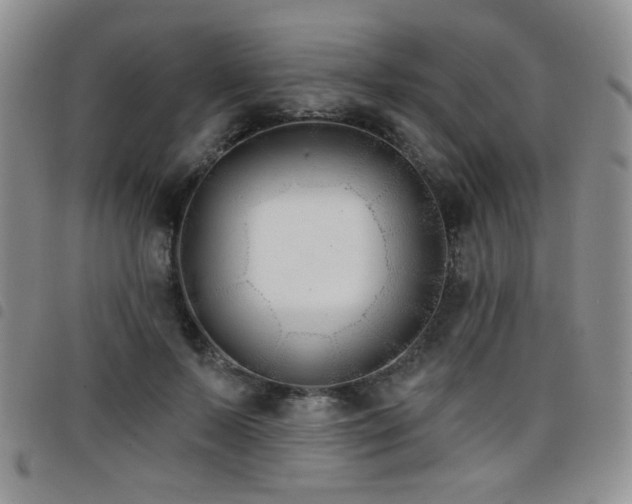 X0000098210695200804241321
