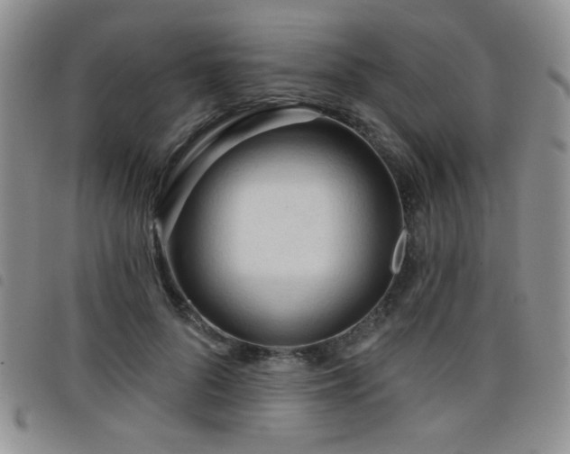 X0000098210696200804241321