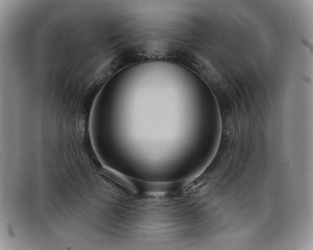 X0000098210697200804241321