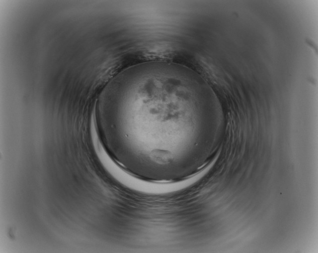 X0000098210699200804241321