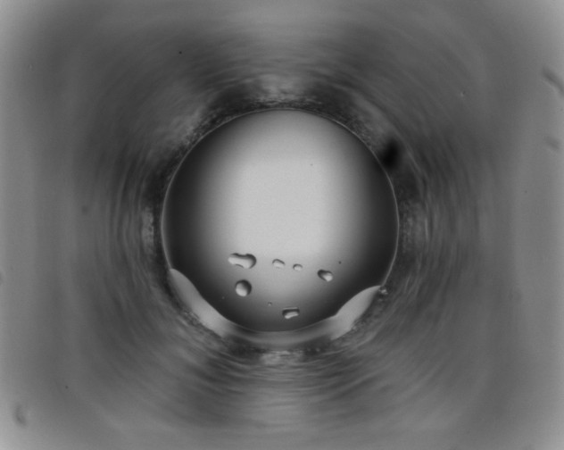 X0000098210700200804241321