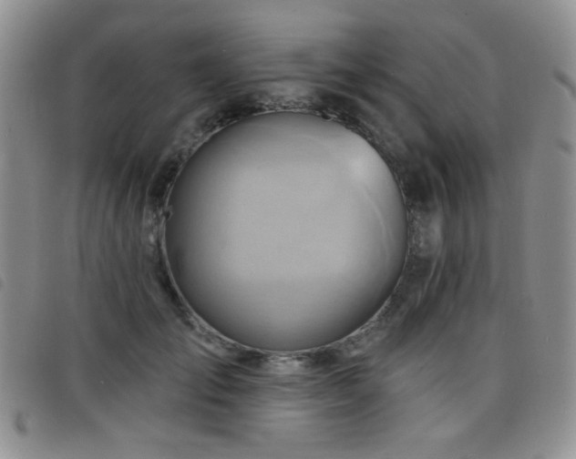 X0000098210701200804241321