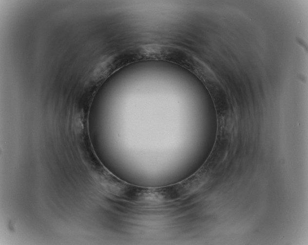 X0000098210702200804241321