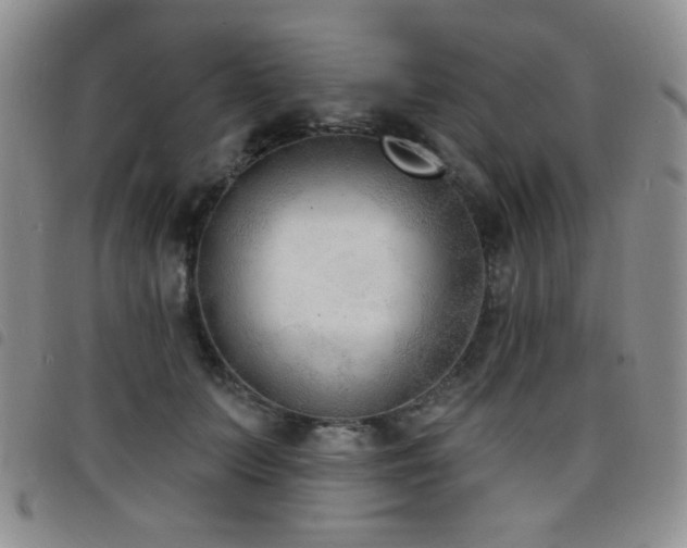 X0000098210703200804241321