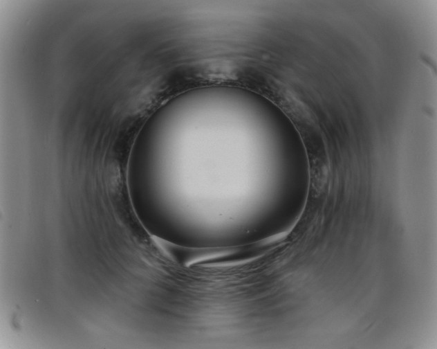 X0000098210704200804241321