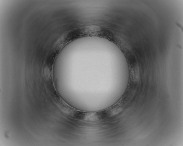 X0000098210705200804241321