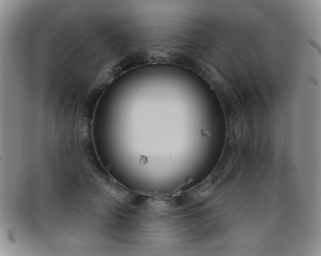 X0000098210706200804241321