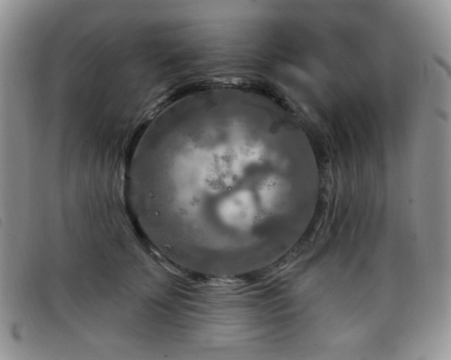 X0000098210707200804241321