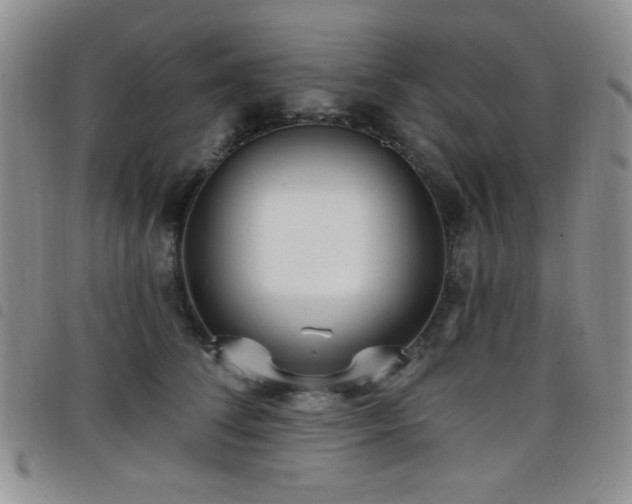 X0000098210708200804241321