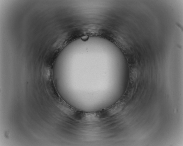 X0000098210709200804241321