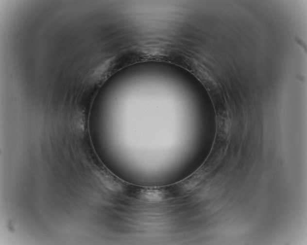 X0000098210710200804241321