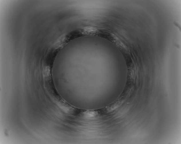 X0000098210711200804241321