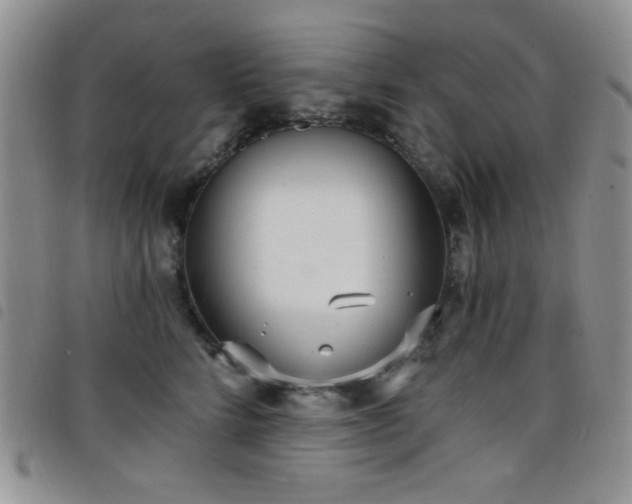 X0000098210712200804241321