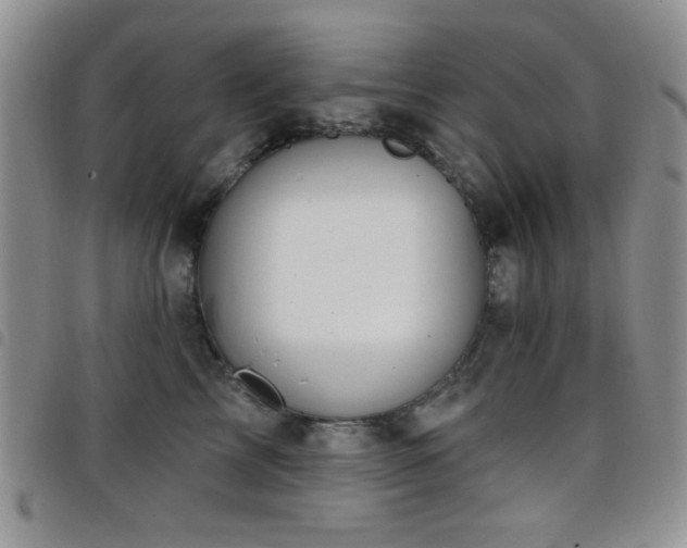 X0000098210713200804241321