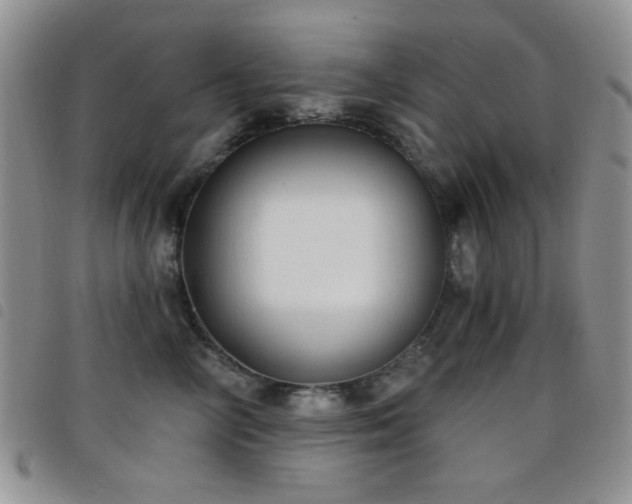 X0000098210714200804241321