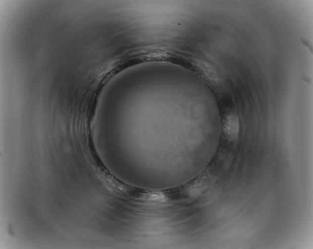 X0000098210715200804241321