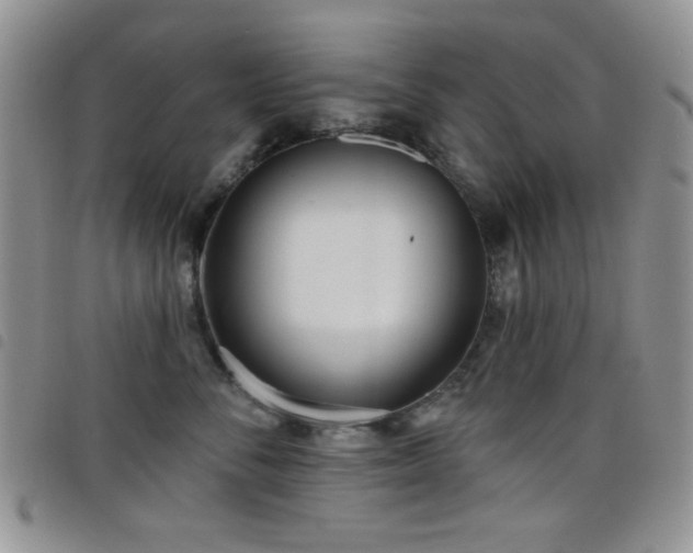 X0000098210716200804241321
