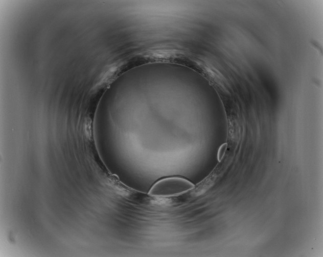 X0000098210718200804241321