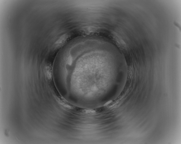 X0000098210719200804241321