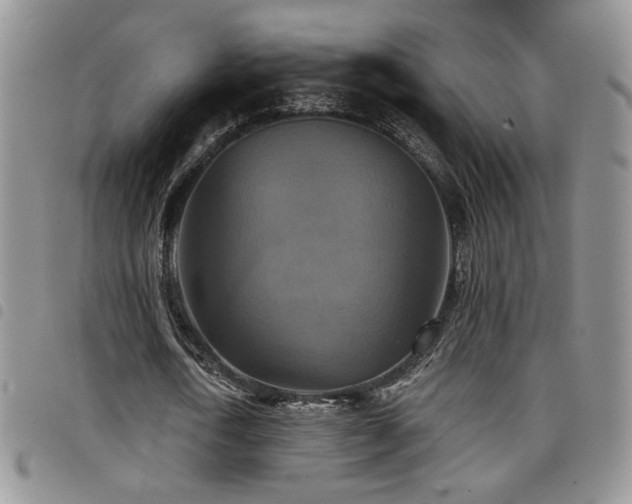 X0000098210722200804241320
