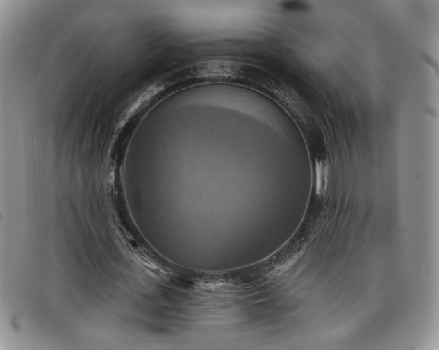 X0000098210723200804241320