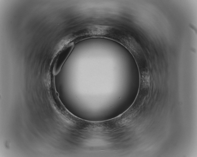 X0000098210726200804241320