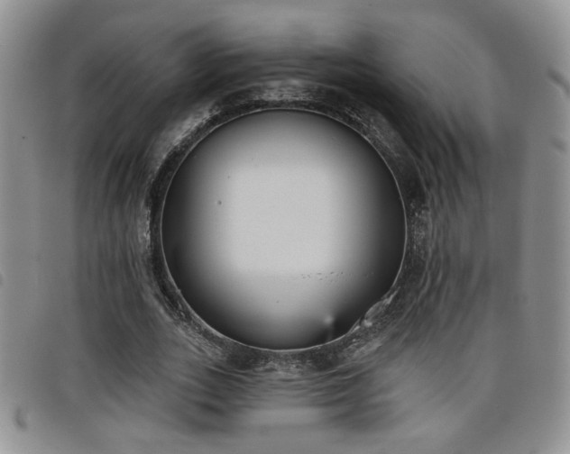 X0000098210727200804241320