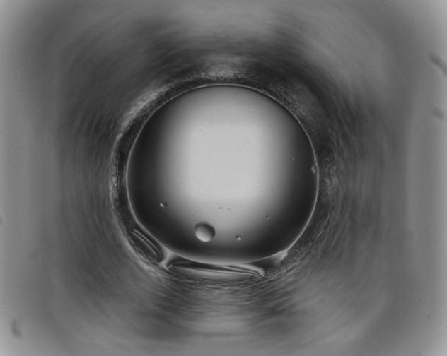 X0000098210728200804241320