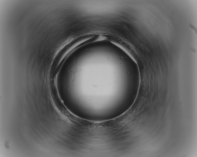 X0000098210730200804241320