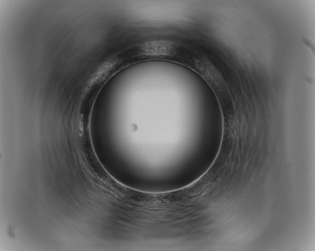 X0000098210731200804241320
