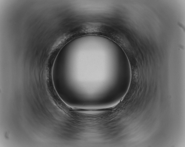 X0000098210732200804241320