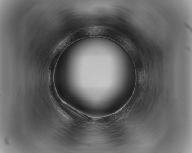 X0000098210733200804241320