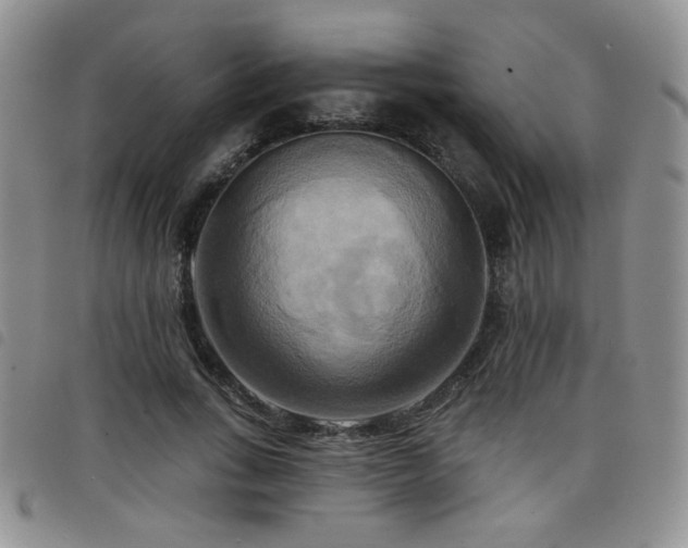 X0000098210735200804241320