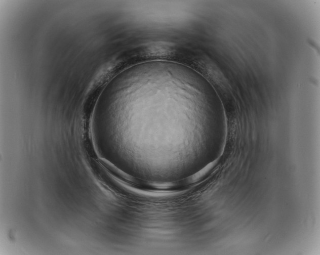 X0000098210736200804241320
