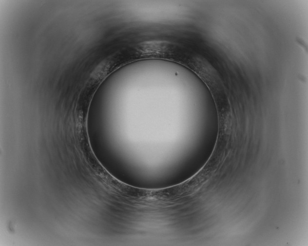 X0000098210737200804241320
