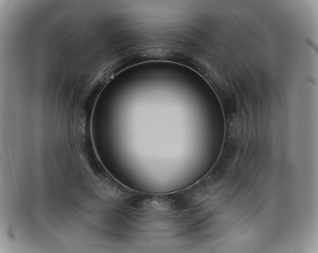 X0000098210739200804241320