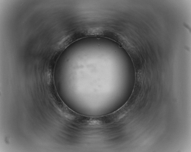 X0000098210741200804241320