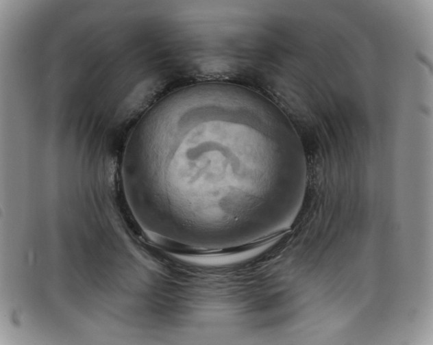X0000098210742200804241321
