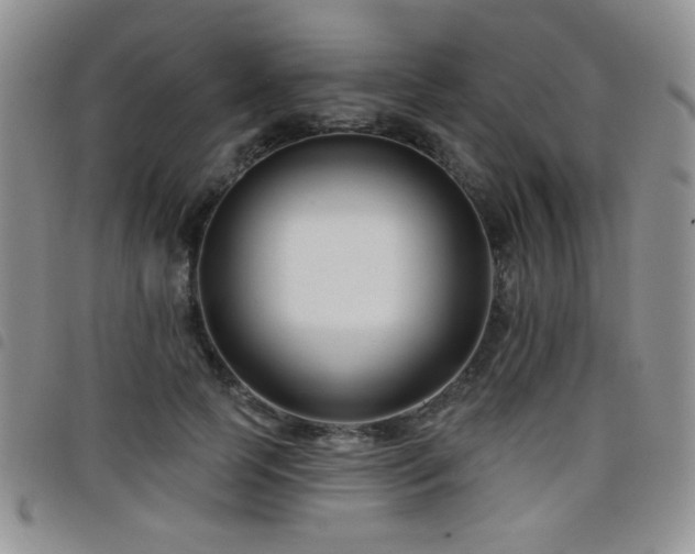 X0000098210745200804241321