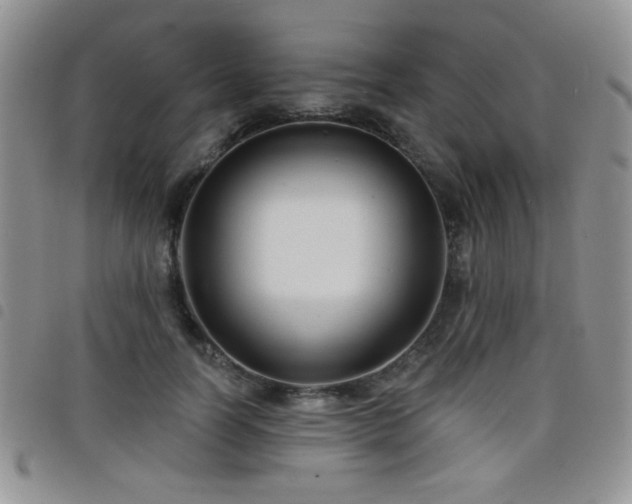 X0000098210746200804241321