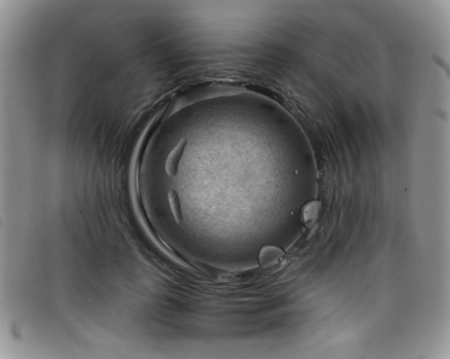 X0000098210747200804241321