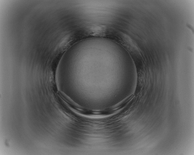 X0000098210748200804241321
