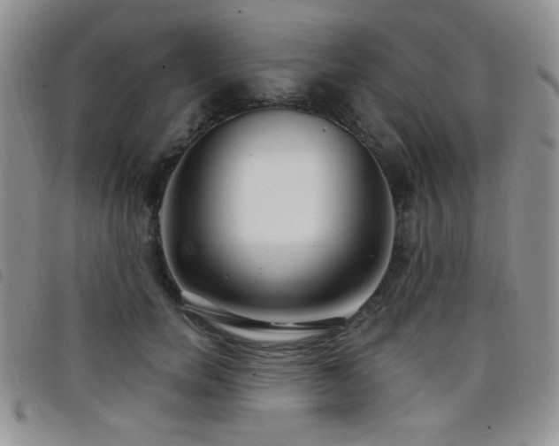 X0000098210750200804241321