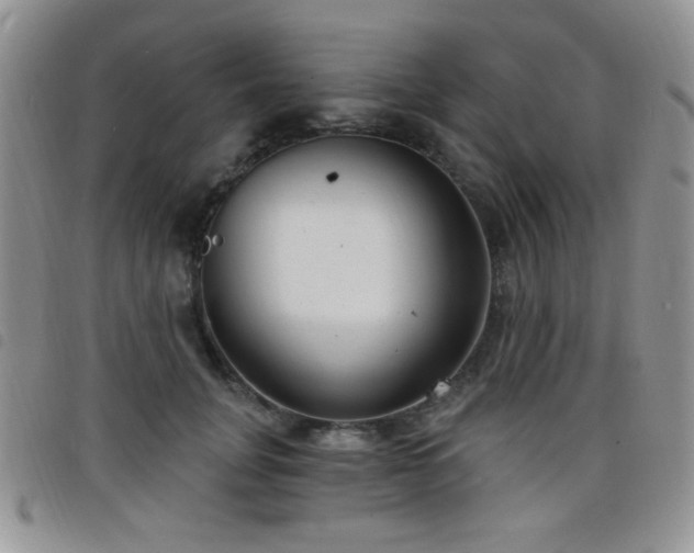 X0000098210751200804241321