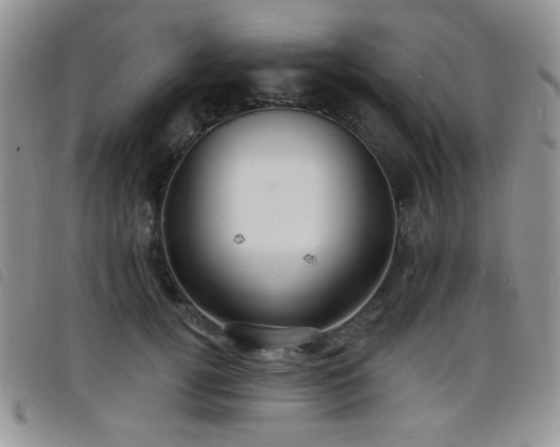 X0000098210752200804241321