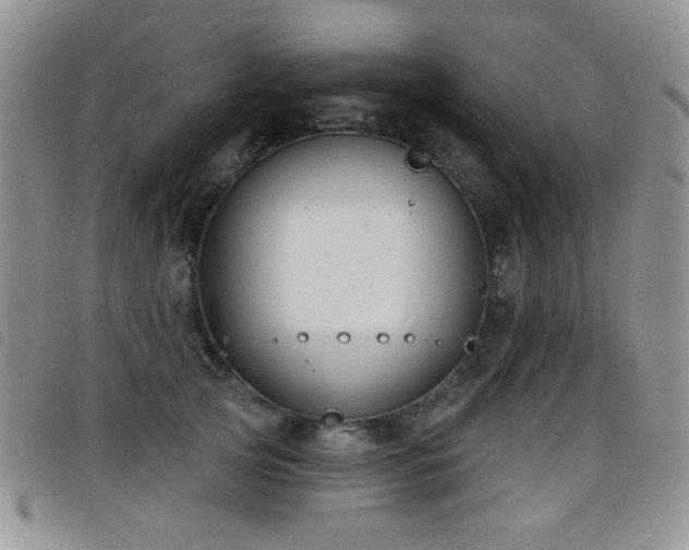 X0000098210753200804241321