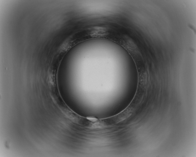 X0000098210755200804241321