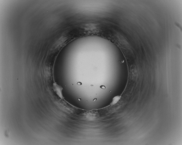 X0000098210756200804241321