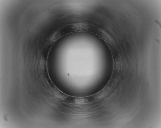 X0000098210757200804241321