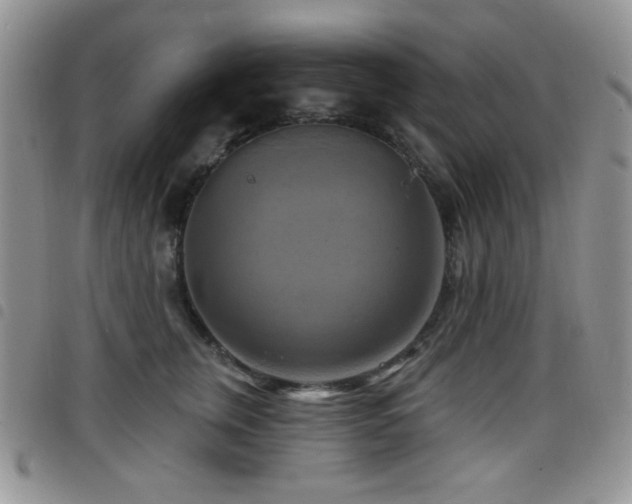 X0000098210759200804241321